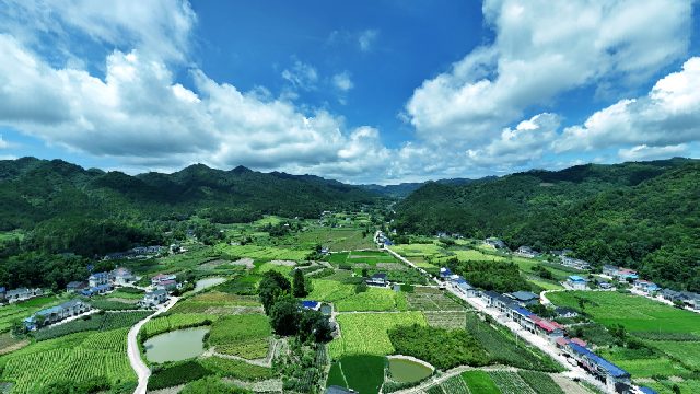 慈利县高峰想康家坪村