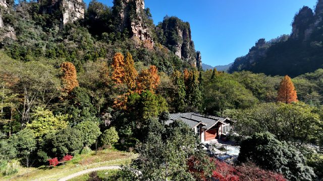 张家界森林公园大氧吧